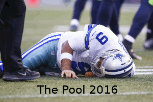 The Pool 2016